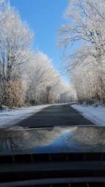 Almanya 'da güneşli bir günde kar ve buzla dolu bir kış gününde kır yolu.