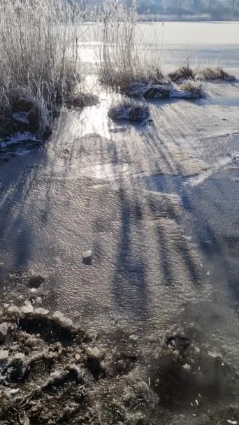 北ドイツの日差しで凍った湖で覆われた雪 — ストック動画