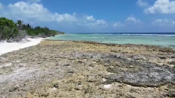 Drone Vista Las Islas Paradisíacas Las Maldivas Con Arrecifes Coral — Vídeos de Stock