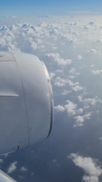 Vertikální Snímek Pohledu Letadla Nad Maledivy — Stock video