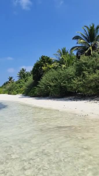 Вертикальний Знімок Мрійливого Піщаного Пляжу Мальдівських Островів Бірюзовим Синім Індійським — стокове відео