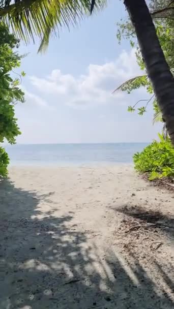 Вертикальний Знімок Мрійливого Піщаного Пляжу Мальдівських Островів Бірюзовим Синім Індійським — стокове відео