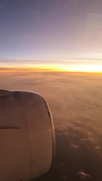 Κάθετη Λήψη Της Θέας Από Ένα Αεροπλάνο Πάνω Από Τις — Αρχείο Βίντεο