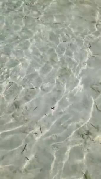Красивые Воды Индийского Океана Мальдив — стоковое видео