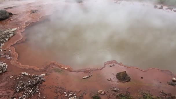 Gorące Źródła Bąbelków Parą Wodną Wodą Polach Siarki Islandii — Wideo stockowe
