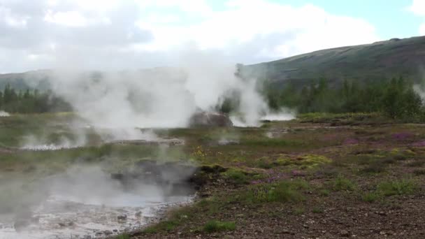 Gorące Źródła Bąbelków Parą Wodną Wodą Polach Siarki Islandii — Wideo stockowe