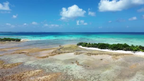 Вид Беспилотника Пляжи Мечты Мальдивских Островов — стоковое видео
