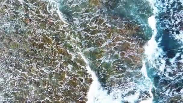 Drone Från Ovan Korallrev Och Vågor Stränderna Maldiverna — Stockvideo