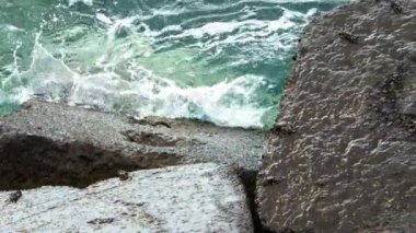 Tenerife 'de bir rıhtımda taş bloklarındaki sayısız yengeç. Arka planda okyanus var..