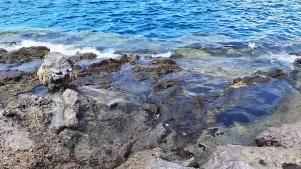 Hermosa Playa Rocosa Tenerife Con Las Olas Del Océano Azul — Vídeos de Stock