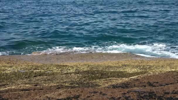 Krásná Skalnatá Pláž Tenerife Vlnami Modrého Oceánu — Stock video