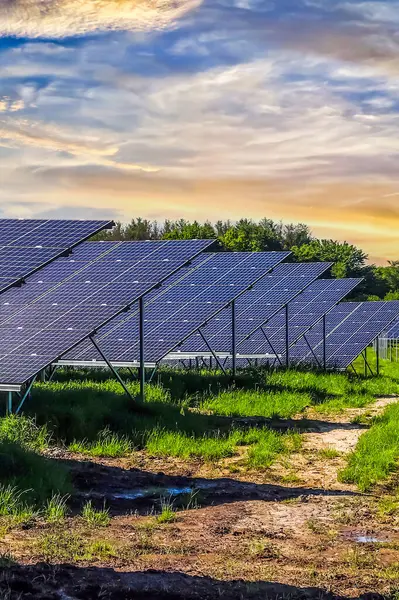 Kuzey Avrupa 'daki büyük bir parkta güneş modülleriyle temiz enerji üretiyor..
