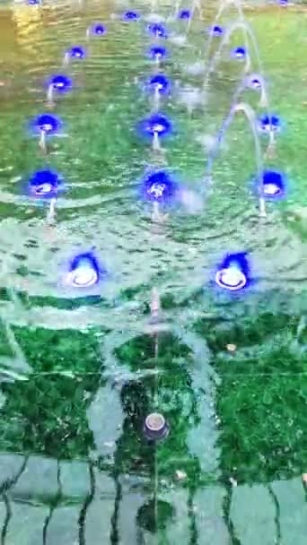 Vista Para Uma Fonte Verde Com Moedas Holofotes Azuis — Vídeo de Stock