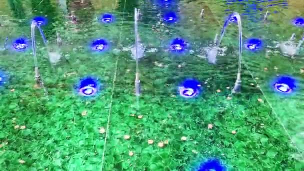 Vue Dans Une Fontaine Verte Avec Des Pièces Des Projecteurs — Video