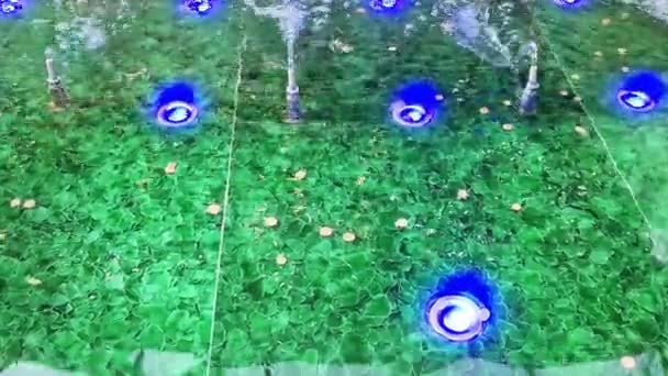 观看一个装有硬币和蓝色聚光灯的绿色喷泉 — 图库视频影像
