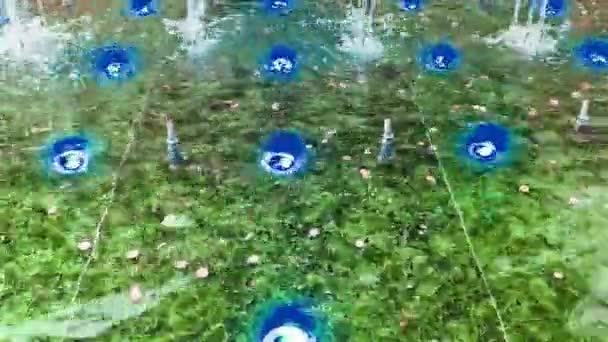 Blick Einen Grünen Brunnen Mit Münzen Und Blauen Scheinwerfern Darin — Stockvideo