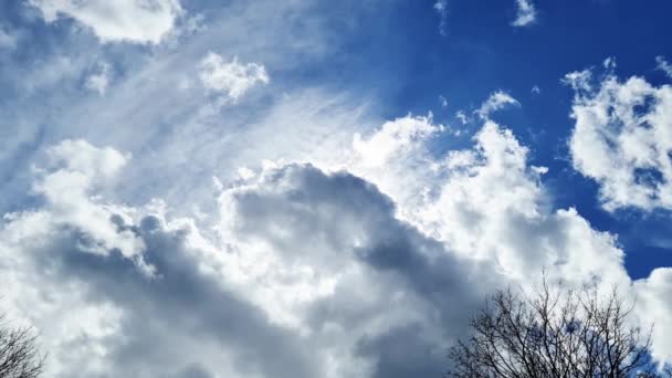 Time Lapse Opname Van Prachtige Wolkenformaties Een Blauwe Lucht — Stockvideo