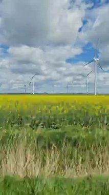 Yeşil tarlalardaki rüzgâr çiftliğinin hareket halindeki arabasının yan camından bak.