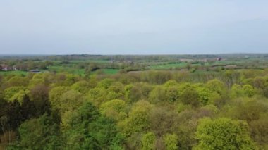 Kuzey Avrupa 'da yeşil yaprak döken bir ormanın insansız hava aracı görüntüsü.