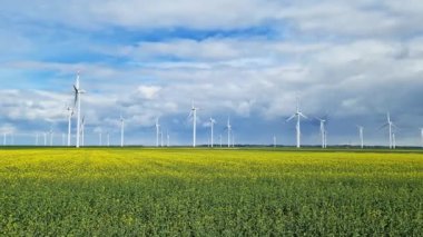 Güneşin altında sarı bir yağ tohumu tarlasının arkasında birçok rüzgar değirmeni olan bir rüzgar çiftliği..