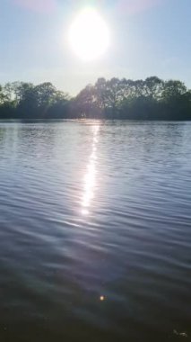 Sakin bir göldeki yeşil ağaçların yaprakları arasından güneş ışınları parlıyor..