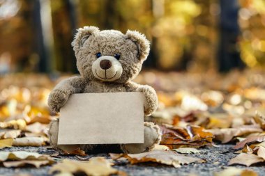 Şablon olarak kullanılmak üzere boş bir tabela tutan sevimli bir oyuncak ayı.