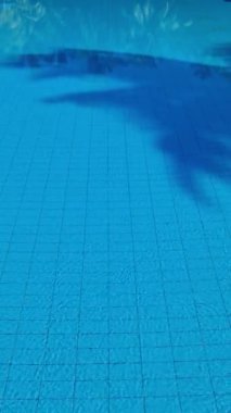 Palmiye yapraklarının gölgeleri mavi bir yüzme havuzunun yüzeyinde hareket eder.