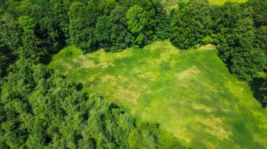 Drone view from above of green mixed forests in northern Germany clipart