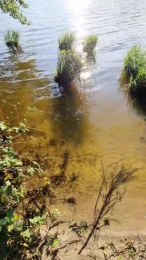 Kuzey Almanya 'nın kırsal kesimindeki huzurlu bir göle yansıyan güneş ışığı..