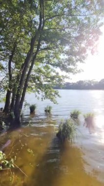 Kuzey Almanya 'nın kırsal kesimindeki huzurlu bir göle yansıyan güneş ışığı..