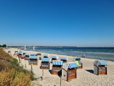 Scharbeutz, Germany 21. September 2024: Beach chairs for rent on the sandy beach of Scharbeutz on a sunny day clipart