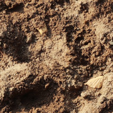 Kusursuz bir doku, yüzeyleri oluşturmak için mükemmel küçük taşları olan bir kum yüzeyi.