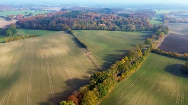 Kuzey Avrupa 'da parlak sonbahar renkleriyle karışık bir ormanın insansız hava aracı görüntüsü