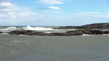 Büyük dalgalar İzlanda 'nın etkileyici kayalık kara sahillerine çarpar..