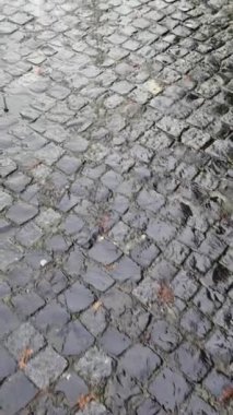 Yürürken patikanın kaldırım taşlarının görüntüsü.