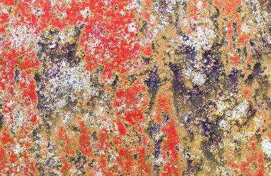 Çatlamış ve yüksek çözünürlüklü beton duvar dokusundaki boyaları soymuş..