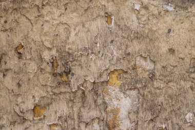 Taş bir duvarda zamanın parlaklığı 