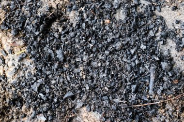 Kamp ateşi kalıntıları gibi yanmış odunların yüzeyi.