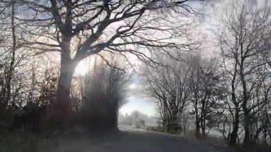 Kışın güneşli bir havada dar bir kırsal yolda hareket halindeki bir arabadan manzara.