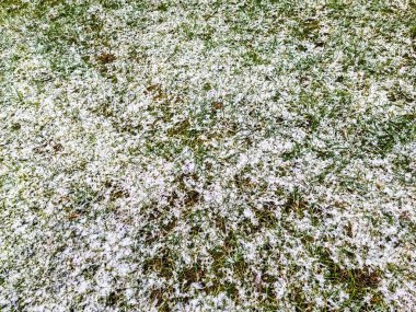 Kışın yeşil çimenleri kaplayan kar mevsimlik güzel bir manzara yaratır.