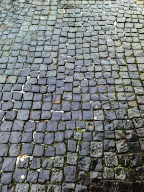 Yosun ve dökülen yapraklarla yağmura bulanmış kaldırım taşı caddesi, dokulu bir kentsel zemin oluşturuyor.