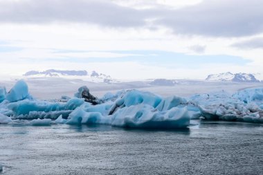 Buzdağları Jokulsarlon buzulu gölünde yüzüyor ve arka planda Vatnajokull buzulu var.