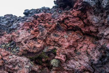 Volkanik kayanın pürüzlü dokusu, İzlanda 'da yosun yetişen oksitlenme sürecini gösteriyor.