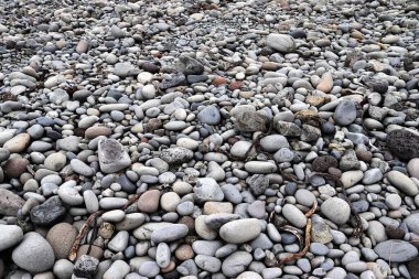 İzlanda kıyılarına dağılmış gri çakıl taşları ve paslı metal teller bulutlu bir gökyüzü altında çarpıcı bir manzara yaratıyor.