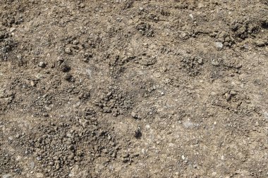 Yakından bakınca İzlanda 'daki kuru, çatlak toprağı ortaya çıkarıyor. Karmaşık desenler ve toprak tonlarıyla pürüzlü, dokulu bir yüzeyi vurguluyor.