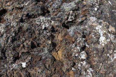 İzlanda 'da volkanik aktivite sonucu oluşan pürüzlü doku ve desenleri gösteren liken ve yosun ile katılaşmış lav alanının görüntüsünü kapatın.