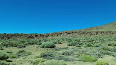 Tenerife, Kanarya Adaları, İspanya 'da volkanik manzaralar, Teide Dağı ve çevresindeki bitki örtüsüne ev sahipliği yapar.