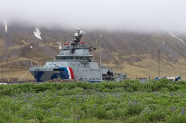 Seydisfjordur, İzlanda - 13. Haziran 2024: İzlanda Sahil Güvenlik gemisi Thor, Seydisfjordur 'daki bulutlu fiyort manzarasına karşı Nootka lupine yakınlarında demirledi