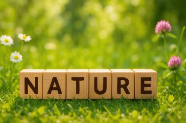 Doğayı heceleyen tahta küpler, doğal dünyanın güzelliğini ve sükunetini sembolize eden yemyeşil çimenlere yuva yapar.