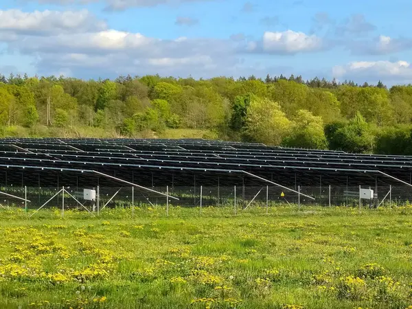 Güneş panelleri sarı çiçeklerle kaplı bir alanda güneş ışığını yakalıyor, verimli bir ormanın yakınında temiz enerji üretimine katkıda bulunuyor.